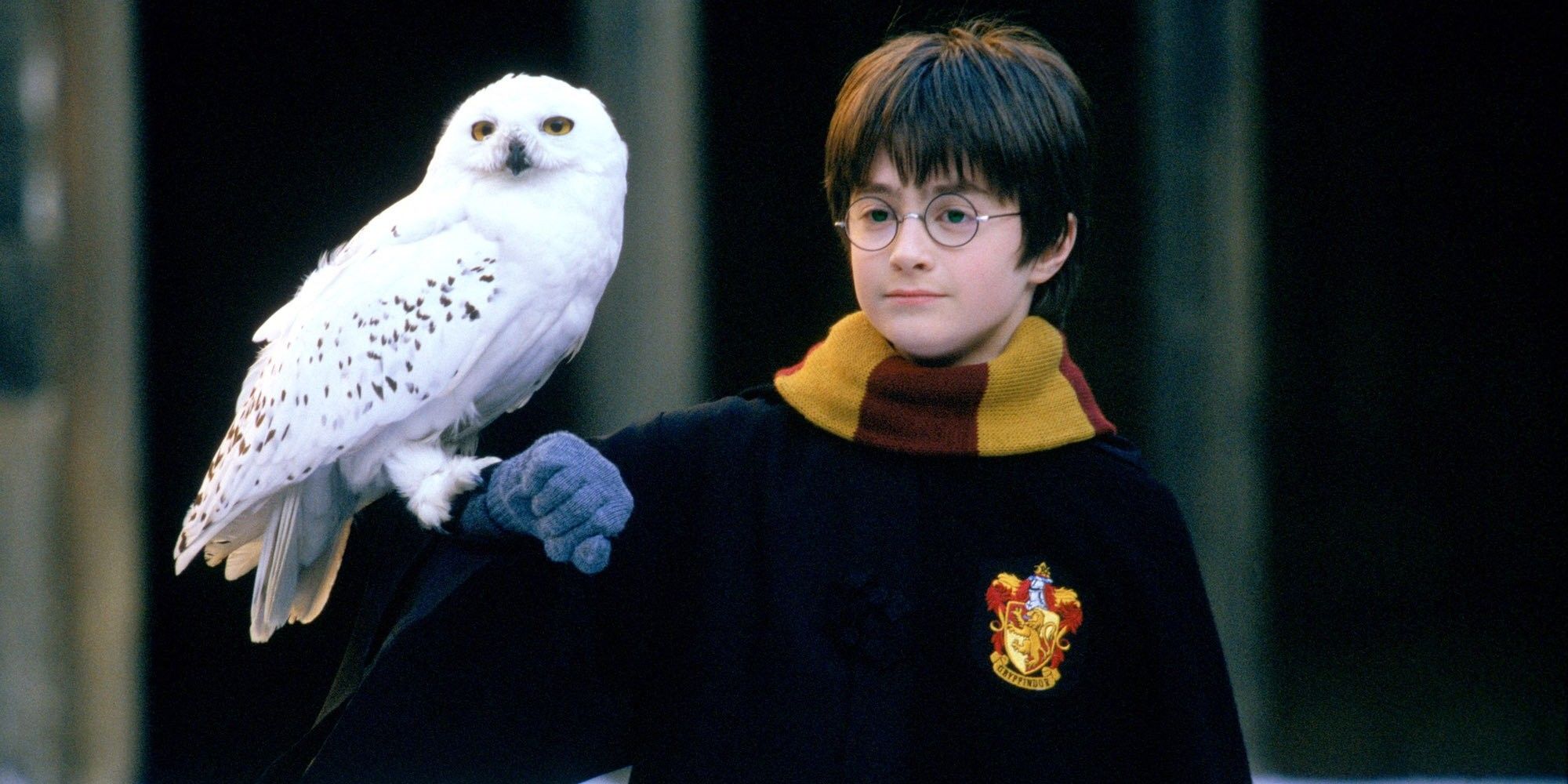 Harry Potter's Second-Highest-Grossing Movie Is Back on Streaming Charts 24 Years Later