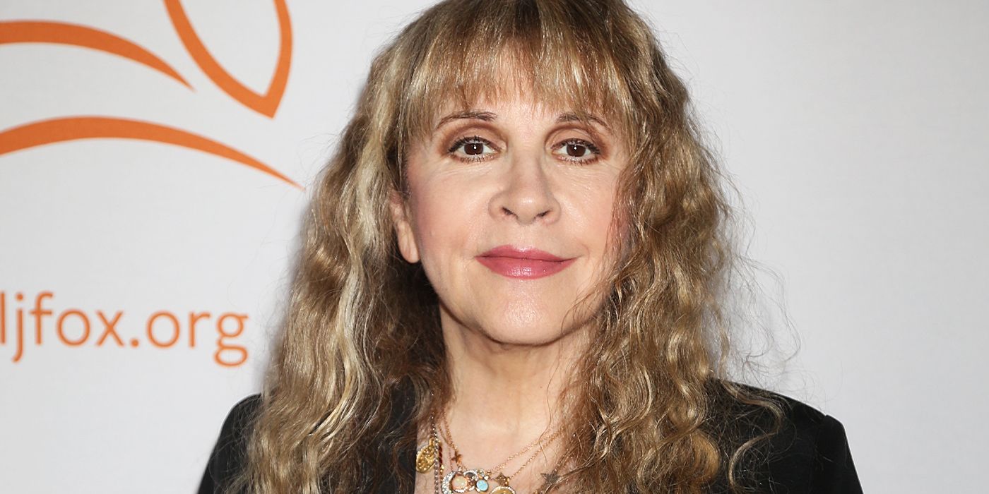 Fleetwood Mac's Stevie Nicks and The Eagles' Don Henley Had More in Common Than Making Near-Perfect Songs