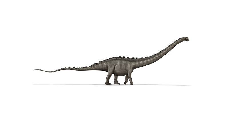 A renderização de um artista de um SuperSarus contra um fundo branco.