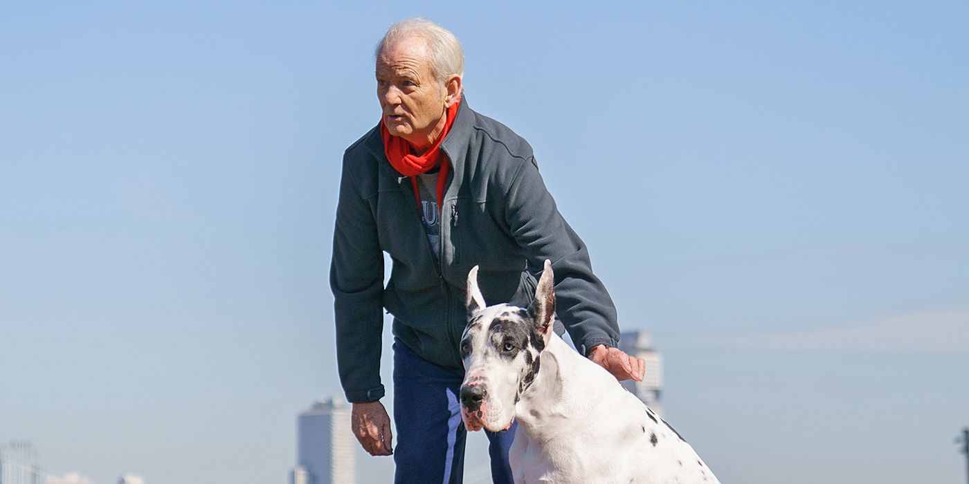 84% Rotten Tomatoes ‘Marley & Me’ Replacement Becomes Sleeper Hit in America