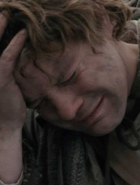 Sad Samwise After Sauron's Defeat, What the Hell Happened to Radagast the Brown ...