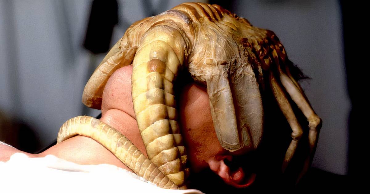 collider.com - Daniel Boyer  - 10 Horror Movies With the Best Lore