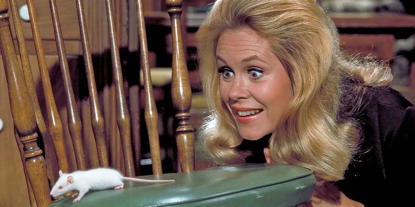 Samantha (Elizabeth Montgomery) talks to Darrin (Dick Sargent), who was turned into a mouse on Bewitched.