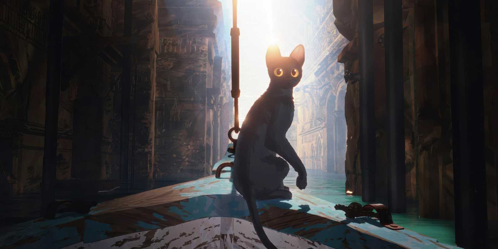 Cat from 2024's Flow