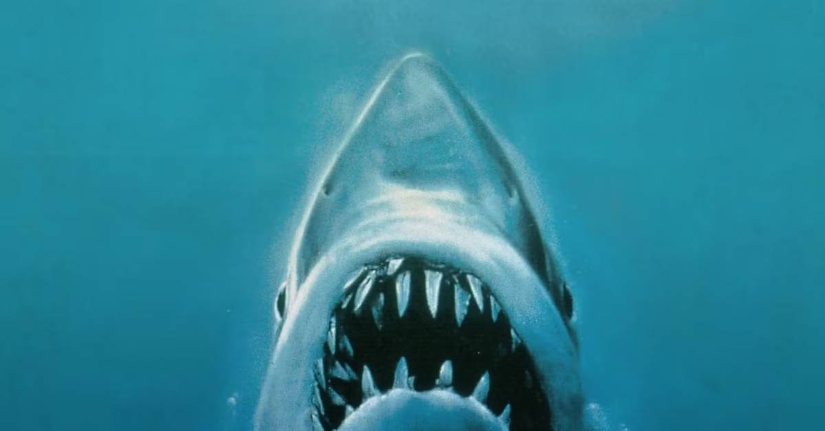 collider.com - Justine Kraemer - The 10 Greatest Steven Spielberg Movies Based on Books, Ranked