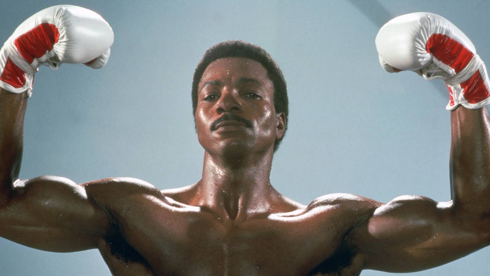 Rocky's Legacy Endures: Iconic Role Recast in Stallone's Heartfelt Retelling!