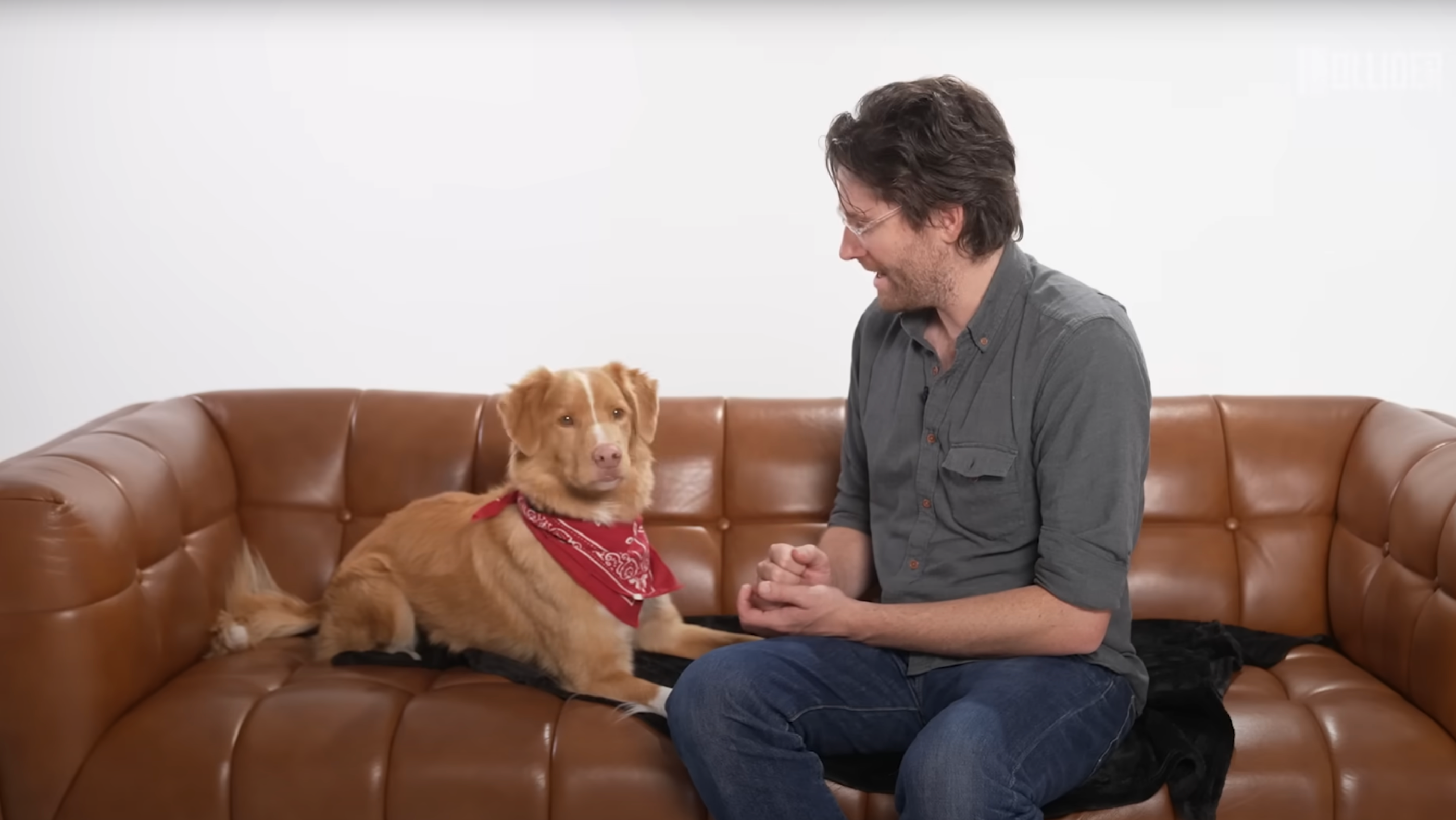 Good Boy star Indy