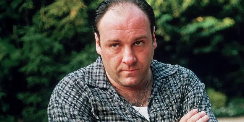 يبدو توني سوبرانو الذي يلعب دوره جيمس غاندولفيني جادًا في فيلم The Sopranos