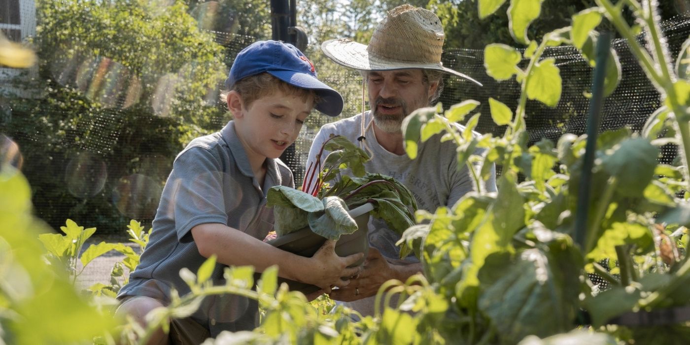 Mark Ruffalo’s HBO Crime Drama Has Been Renewed for Season 2, so Here’s ...
