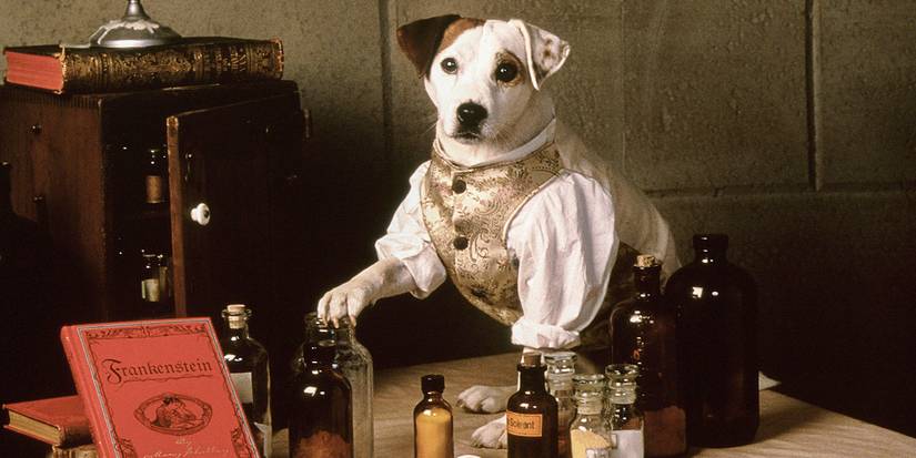 Wishbone the dog as Dr. Frankenstein with bottles and books around him on a desk in Wishbone