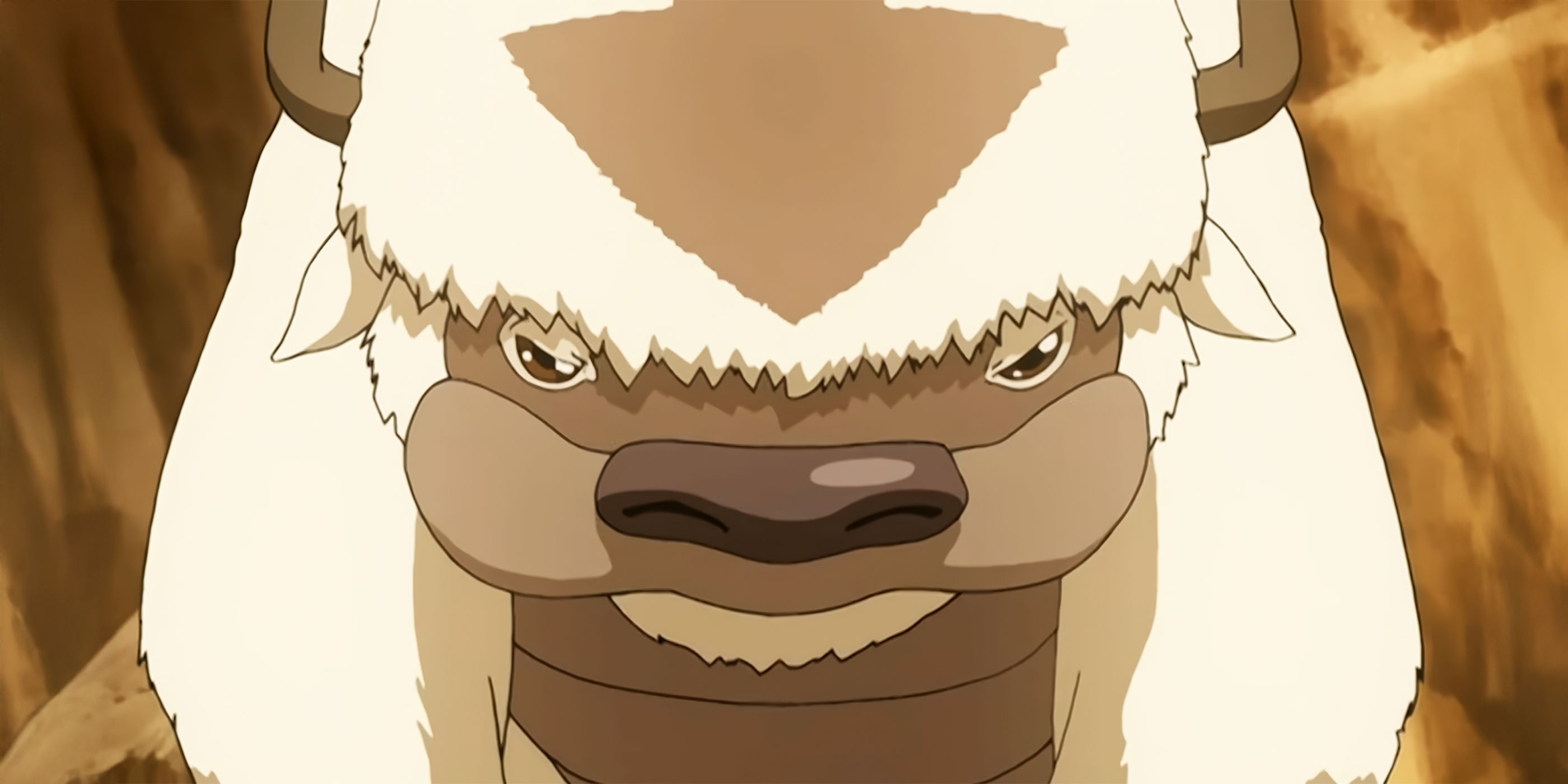 First ‘Legend of Aang: The Last Airbender’ Images Have Fans Demanding ...