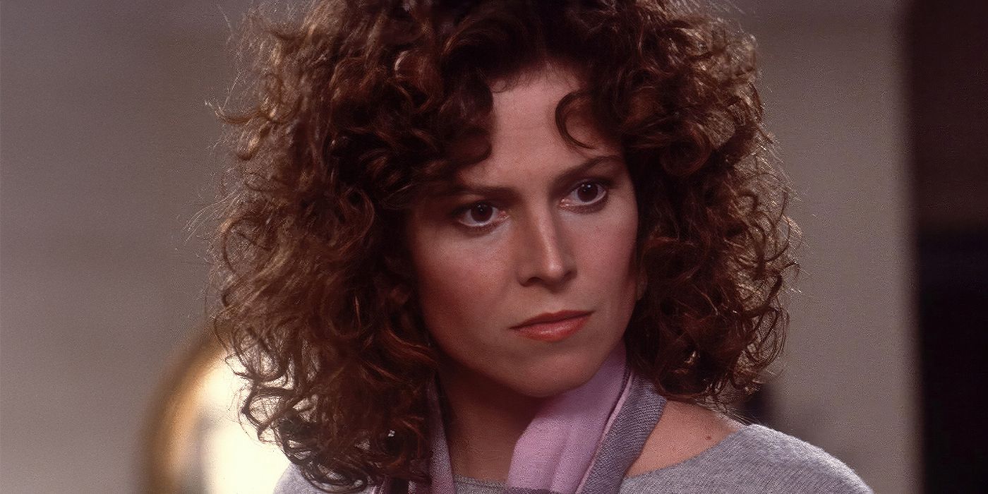 The Future of Your Favorite $1 Billion Supernatural Fantasy Franchise Teased By Star