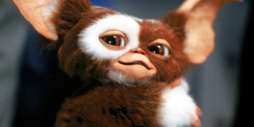 Gizmo of 'Gremlins' flashes a cheeky smile