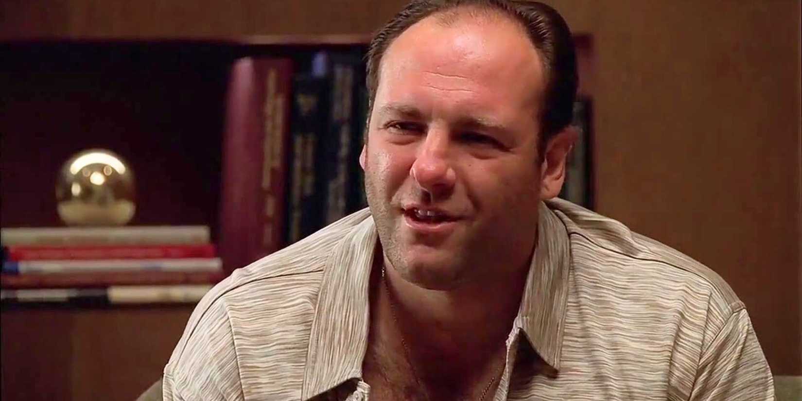 James Gandolfini as Tony Soprano in The Sopranos episode Isabella