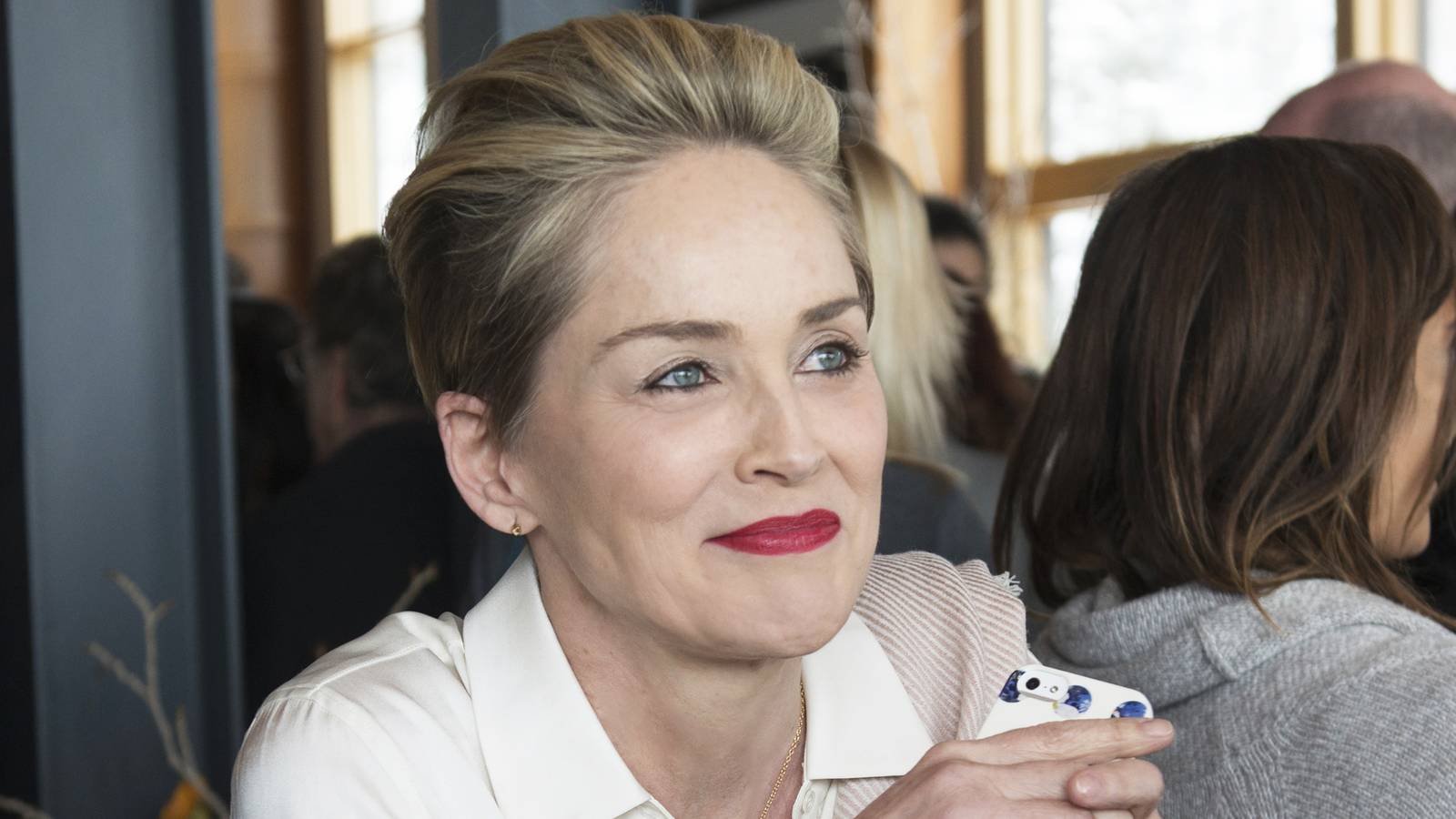 Sharon Stone smiling in Mosaic