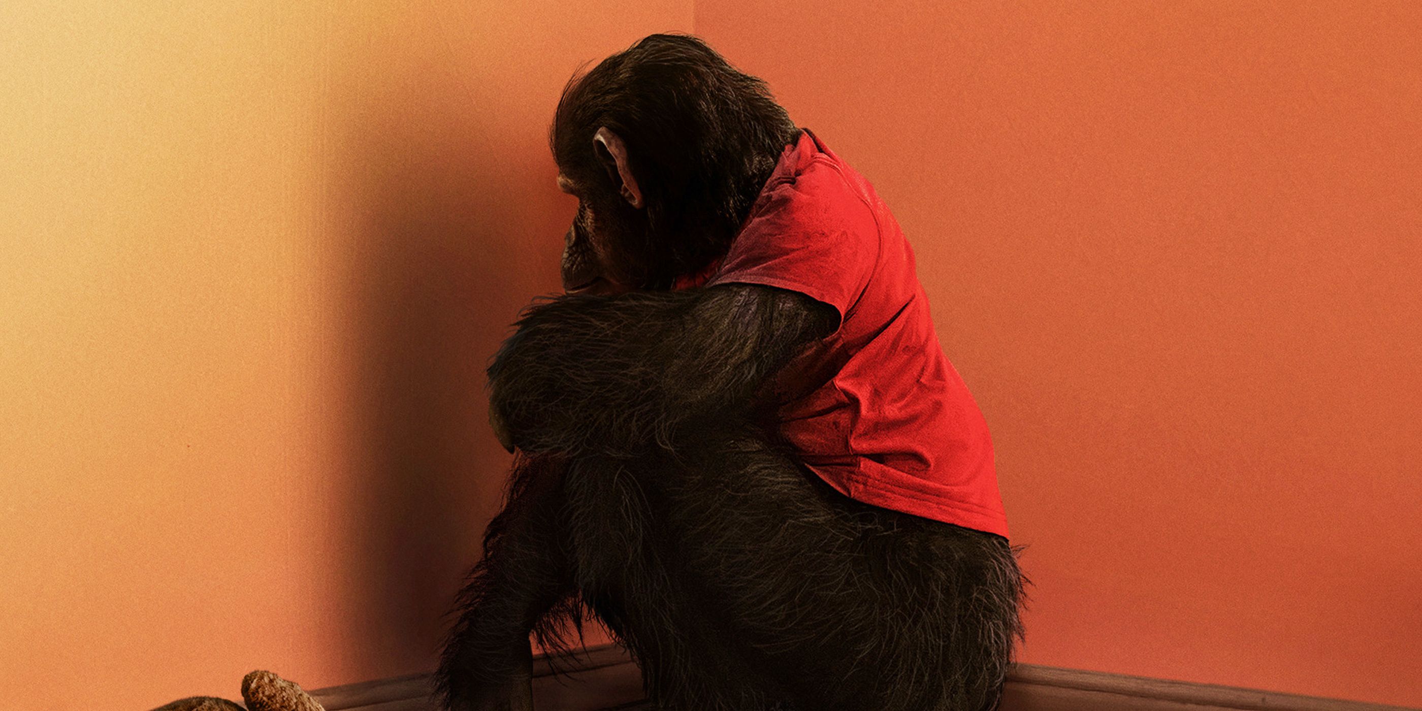 New Look at ‘Primate’ Horror Movie From the Director of ‘Resident Evil: Welcome to Raccoon City’ Will Have You Terrified [Exclusive]