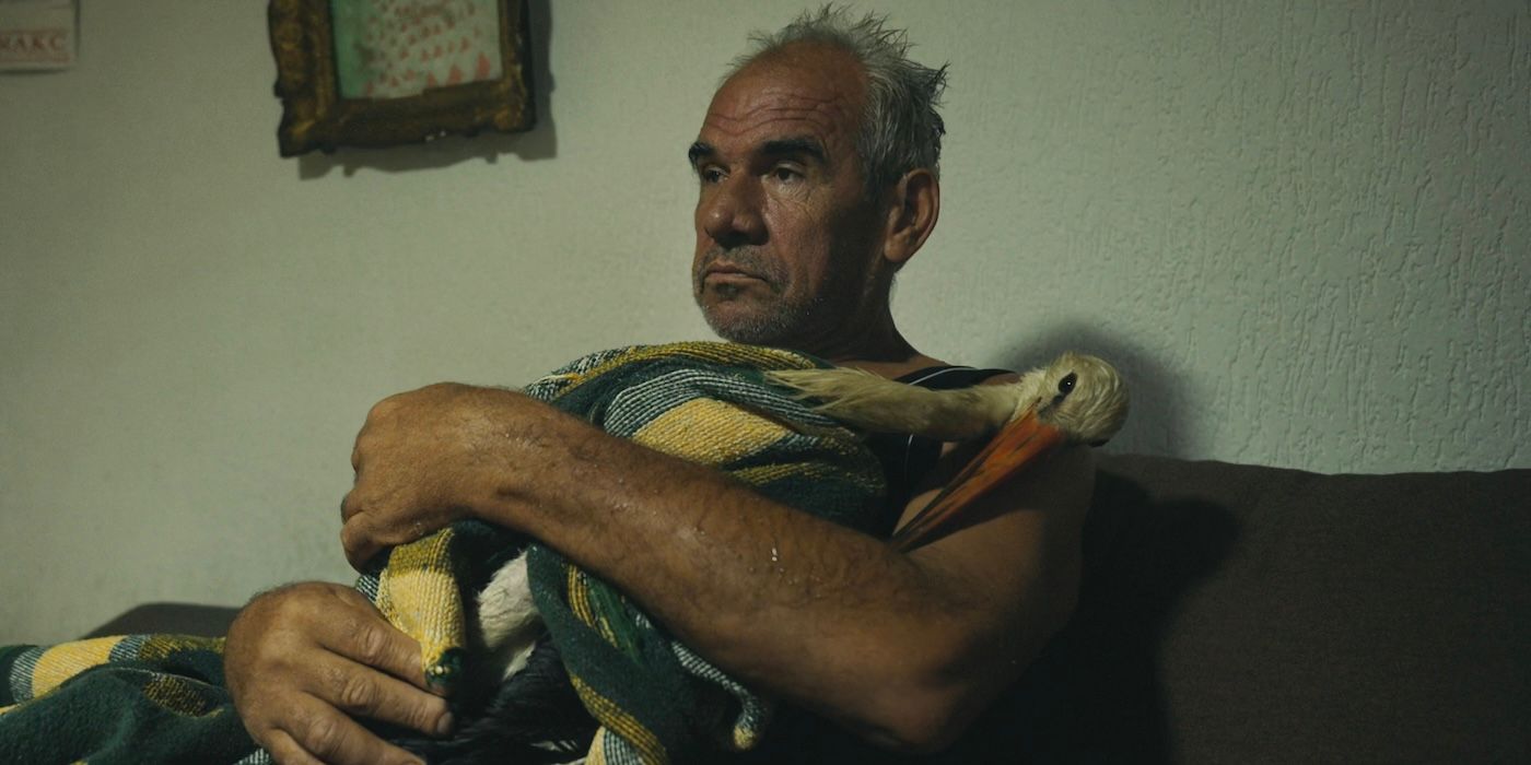 ‘The Tale of Silyan’ Review: Groundbreaking Oscar-Nominated Director Returns With a Fantastic Documentary About a Man and His Stork