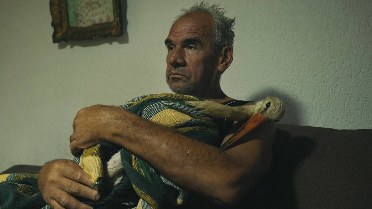 ‘The Tale of Silyan’ Review: Groundbreaking Oscar-Nominated Director Returns With a Fantastic Documentary About a Man and His Stork