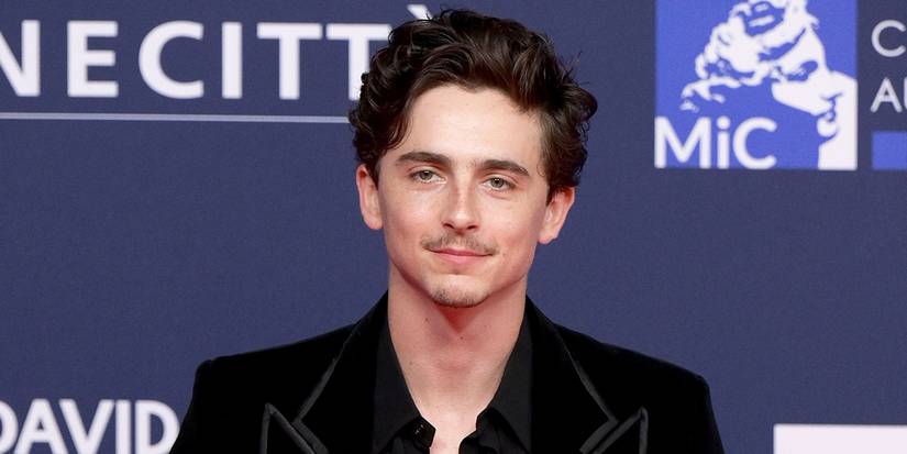 Timothee Chalamet di karpet merah