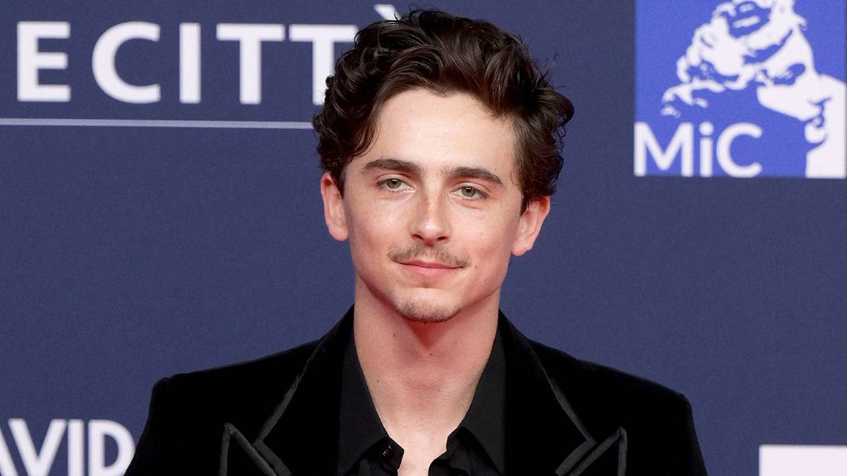 Timothee Chalamet on the red carpet
