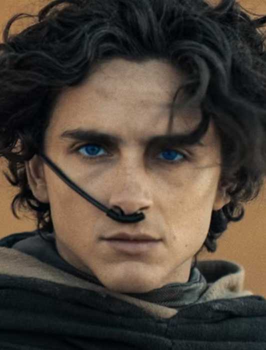 Why HBO Killed the Best Western TV Series