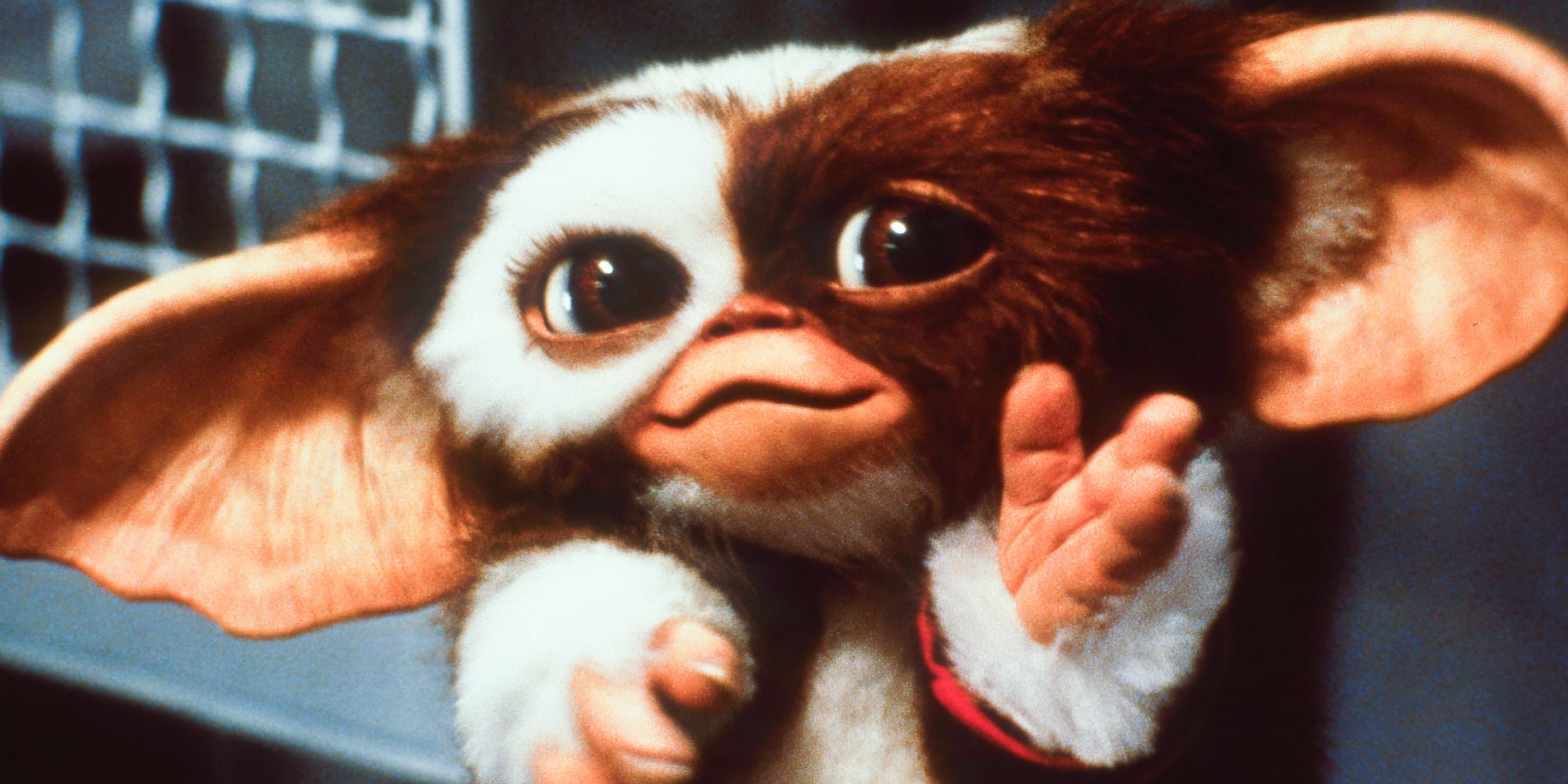 10 Greatest Christmas Horror Movies, Ranked image