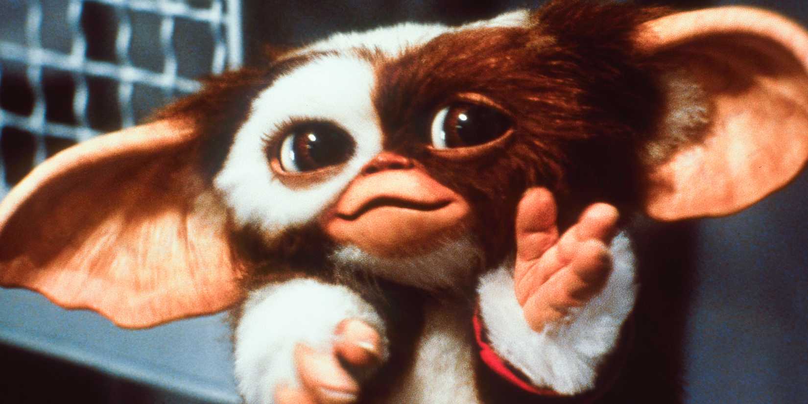 Gizmo the Mogwai smiling in Gremlins