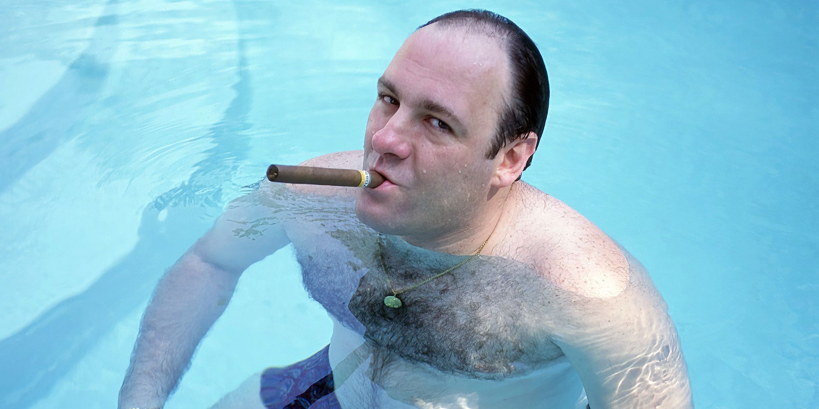 James Gandolfini's Greatest 'Sopranos' Line Perfectly Foreshadows Tony's Ultimate Fate image