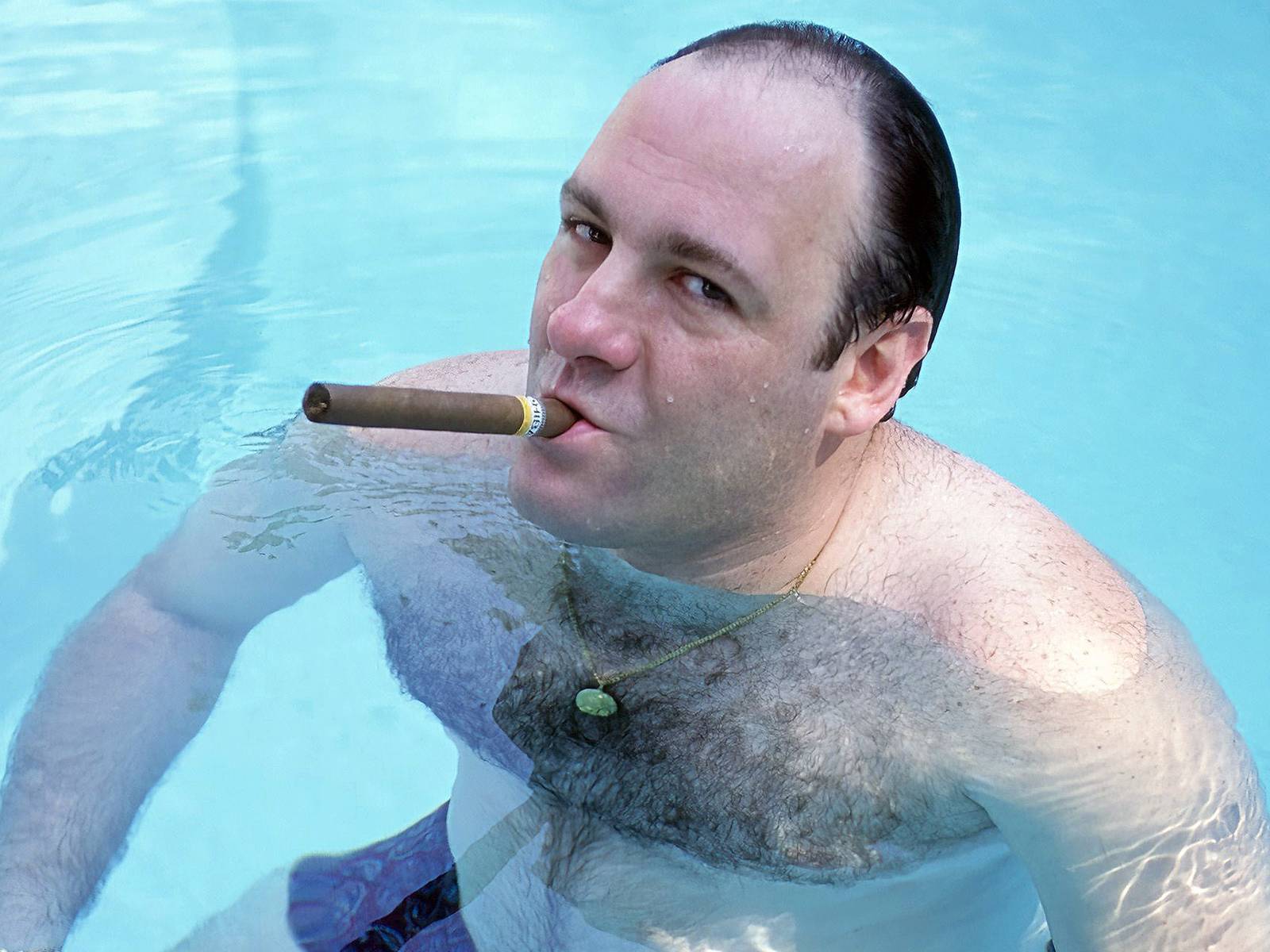 does tony soprano smoke cigarettes James Gandolfini's Greatest 'Sopranos' Line Perfectly Foreshadows Tony's  Ultimate Fate