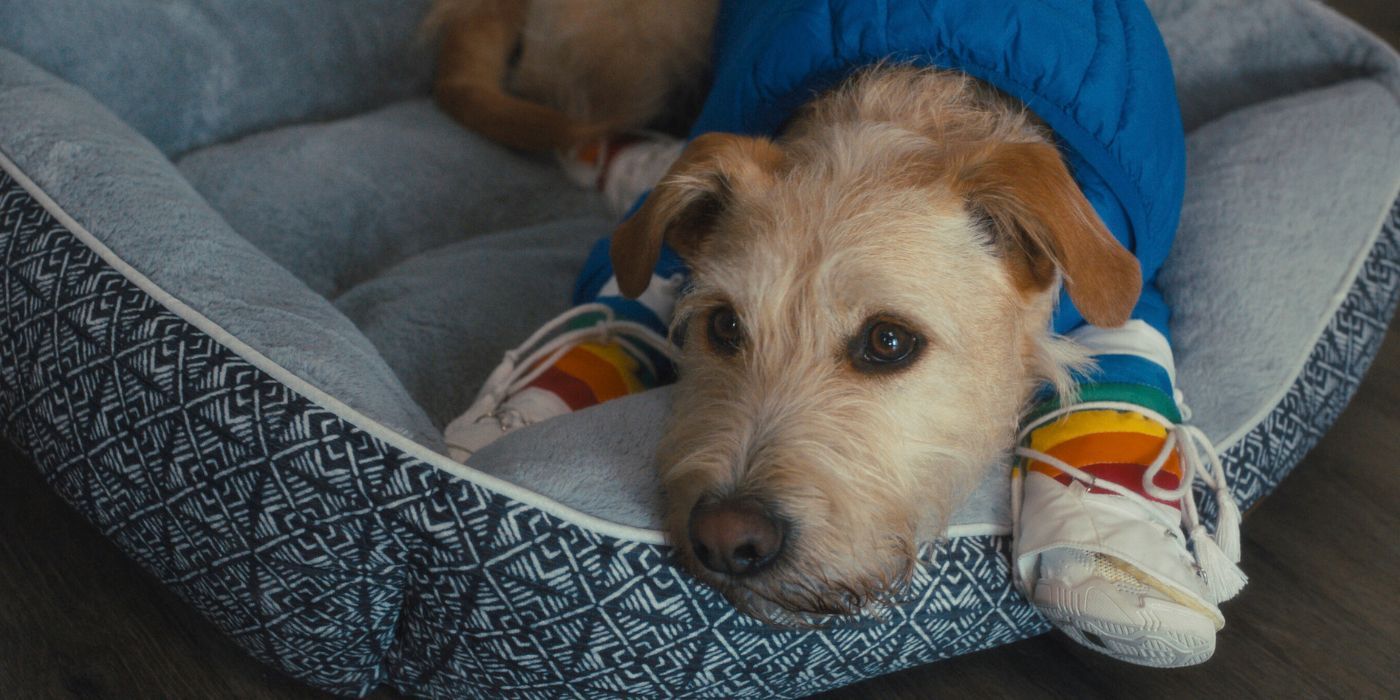 3 Best Movies To Watch on Prime Video This Weekend