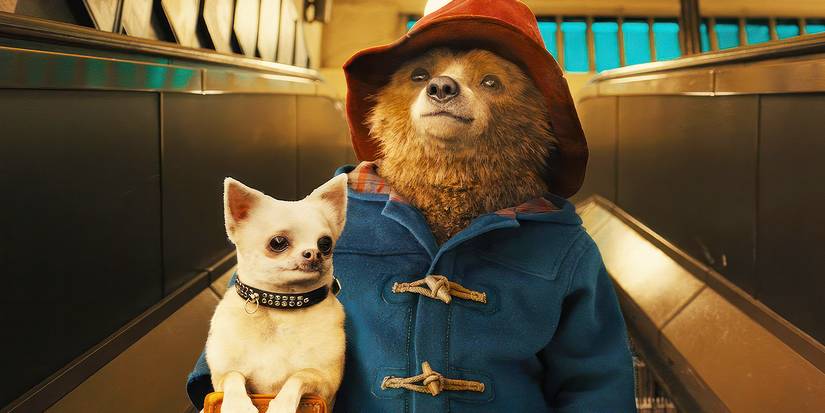 Paddington holding a dog while going down an escalator in Paddington 2