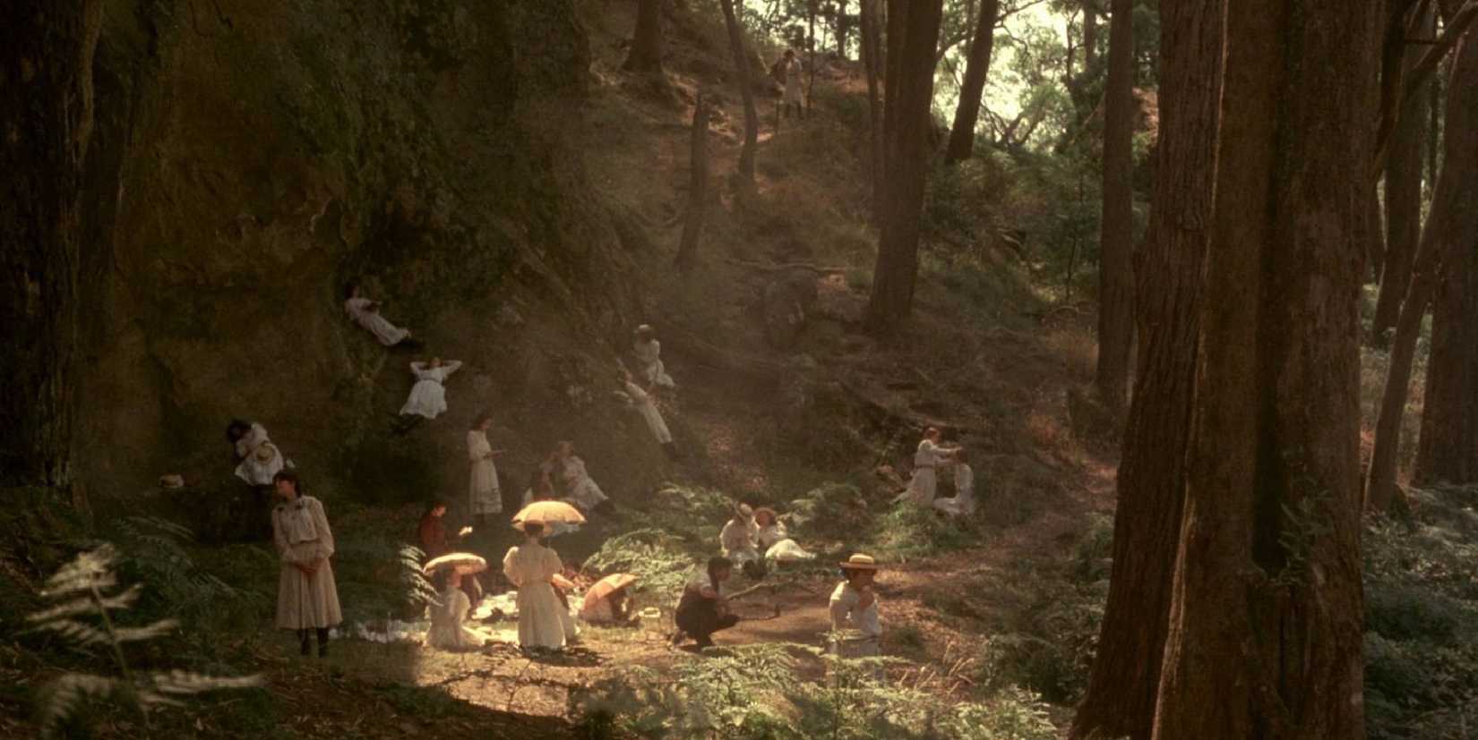 A beautiful forest in Picnic at Hanging Rock