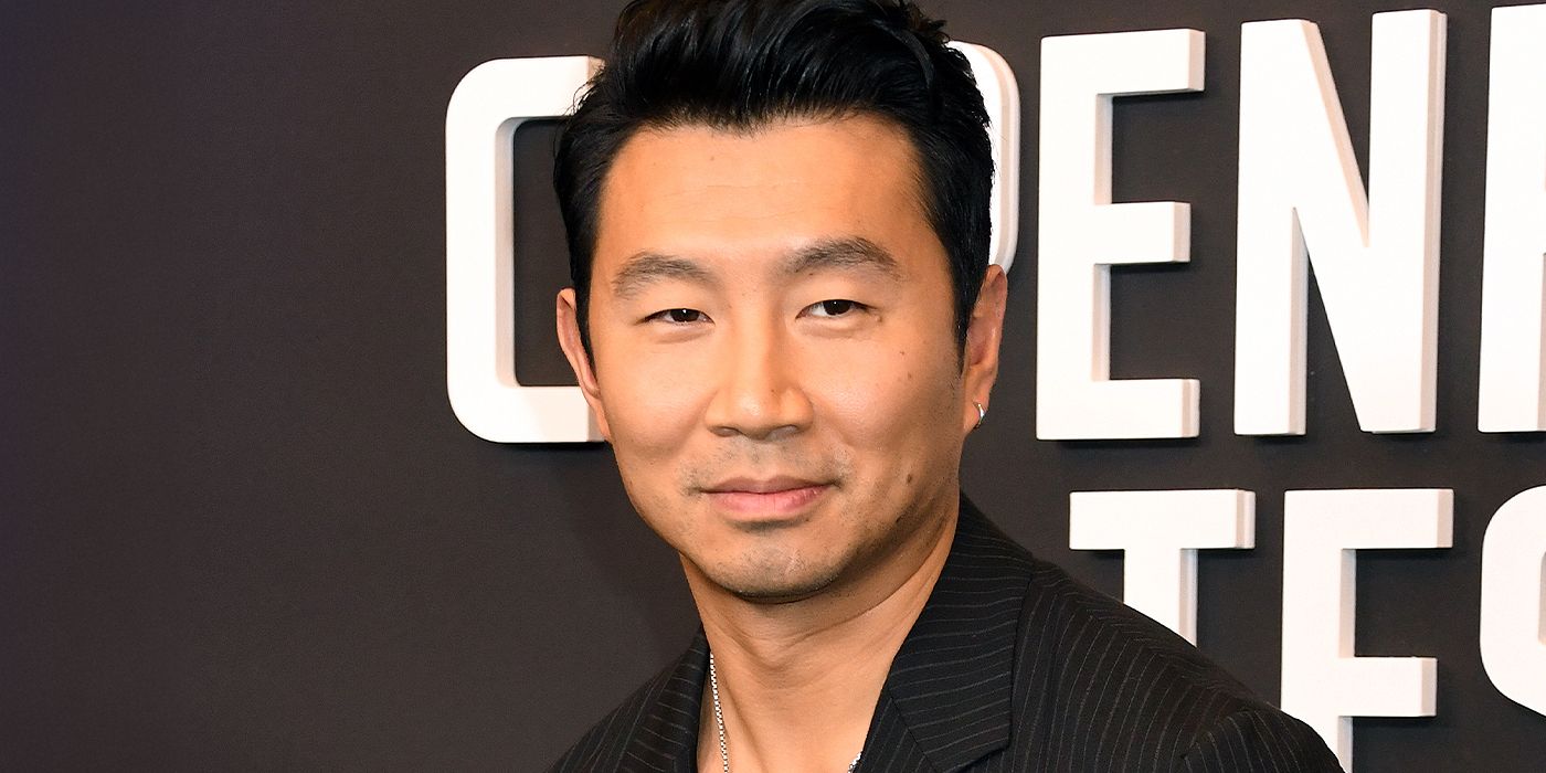 Simu Liu’s ‘Sleeping Dogs’ Movie Lands Perfect Director From Jason Statham’s Upcoming Action Sequel