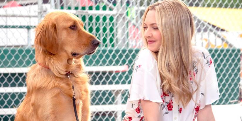 Amanda Seyfried as Eve with Enzo the golden retriever in 'The Art of Racing in the Rain.'
