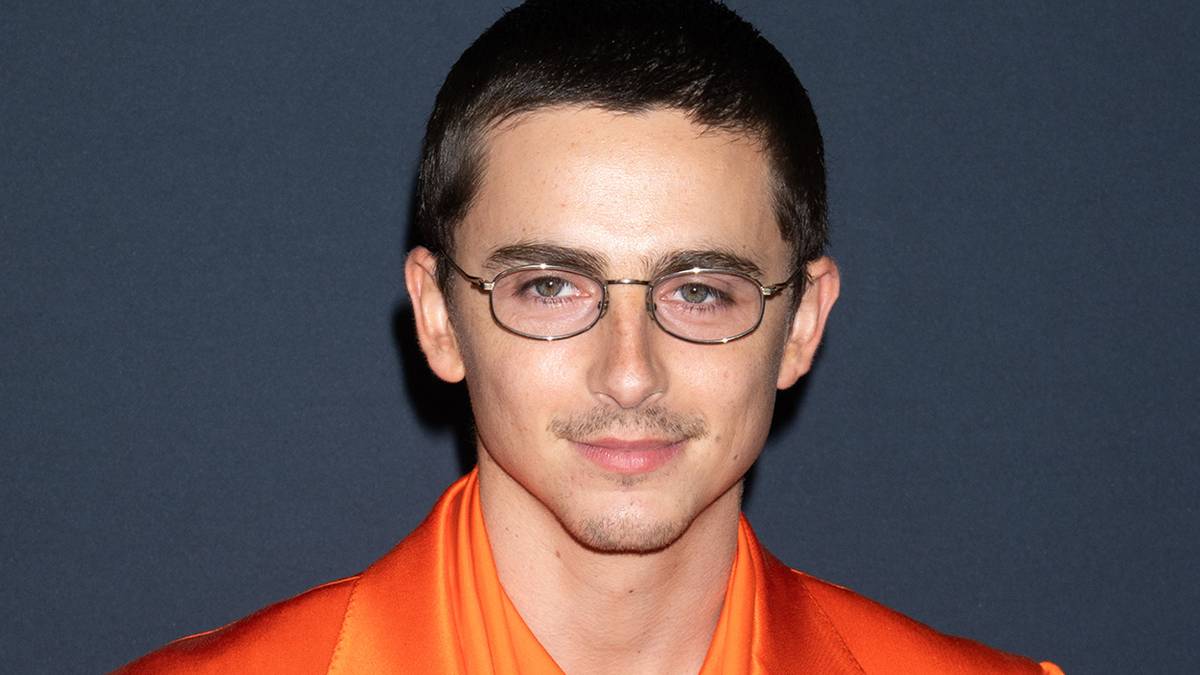 Timothée Chalamet's New Film Dominates Box Office, Breaking A24 Records!