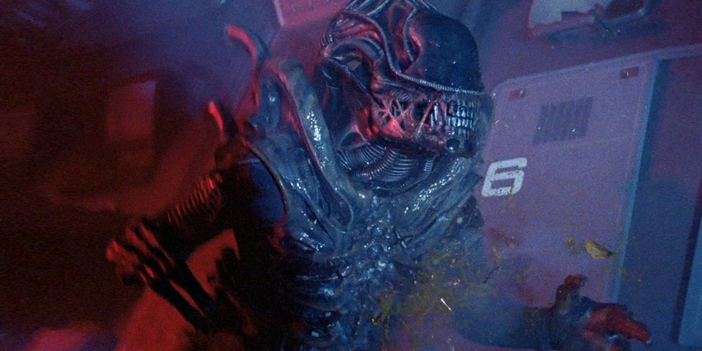 James Cameron Confirms Long-Awaited Return to His Greatest Sci-Fi ...