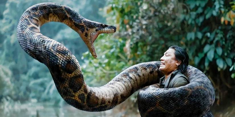 A man being coiled up and about to be eaten by a giant anaconda in Chinese remake 'Anaconda' (2024)