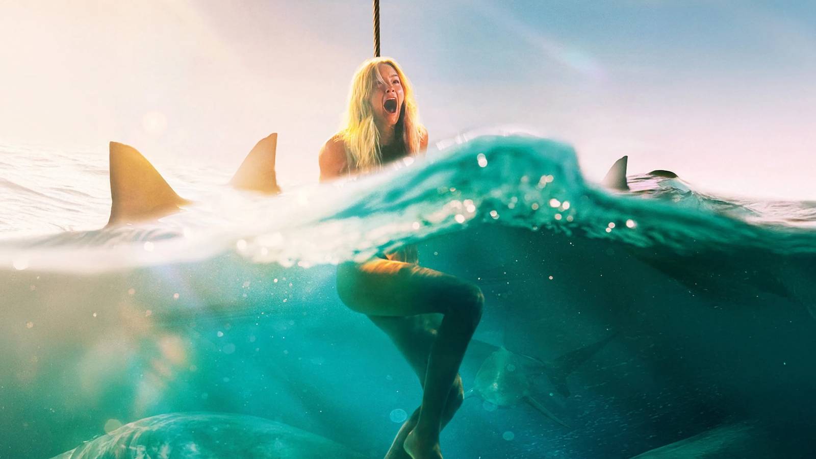5 Shark Movies That Are 10/10, No Notes