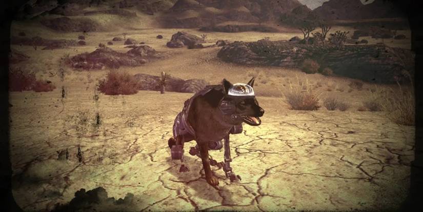  New Vegas, sitting in a desert.