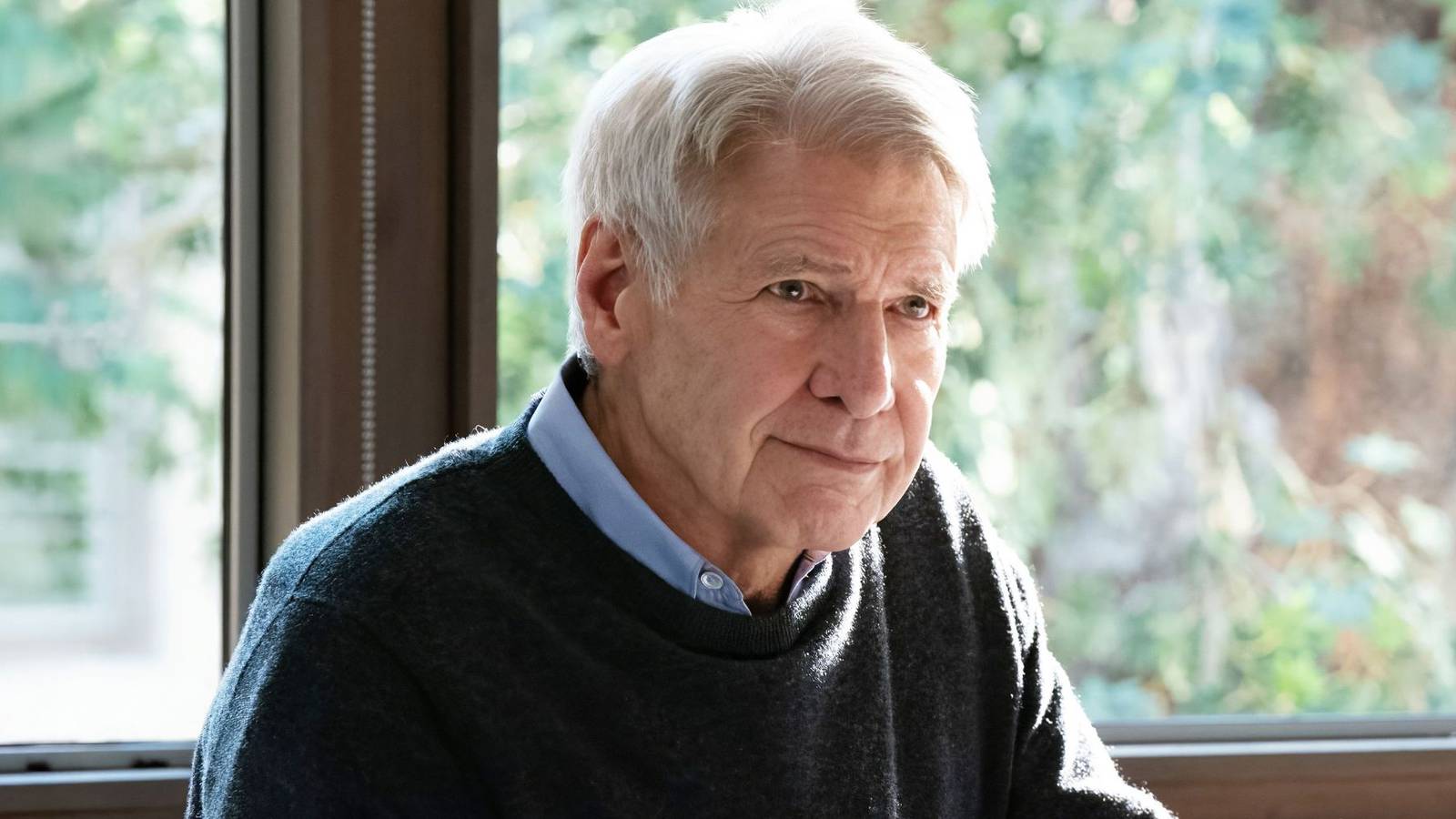 These 10 Shows Are the Perfect Follow-Up to 'Shrinking'