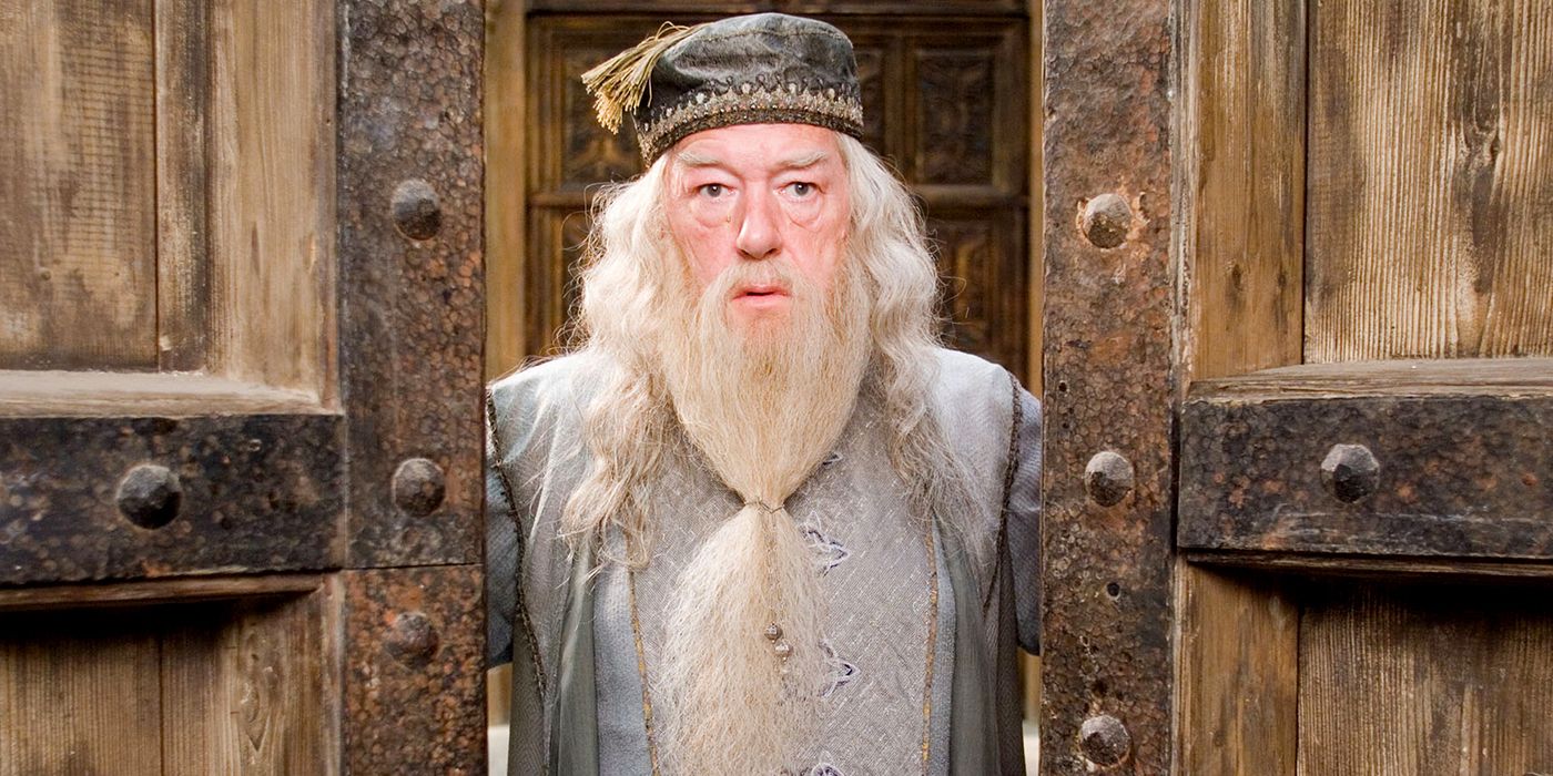 Harry Potter Casts a Spell on Two Major Streaming Services Ahead of HBO Adaptation