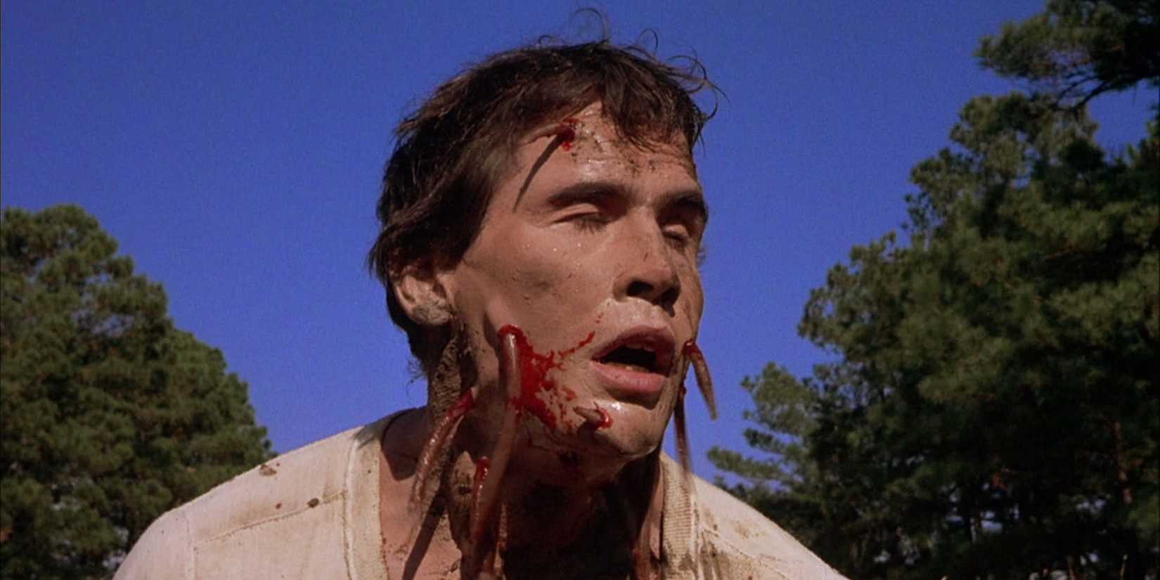 Man with tentacles coming out of his face in 'Squirm' (1976)