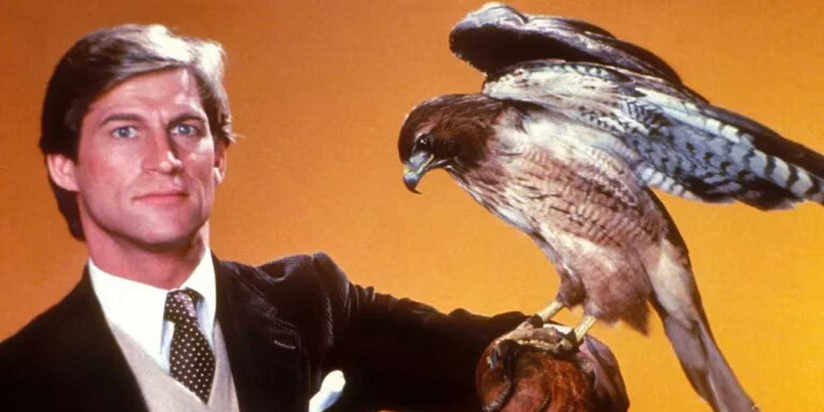 A man holds a hawk on his arm with a plain background in Manimal.
