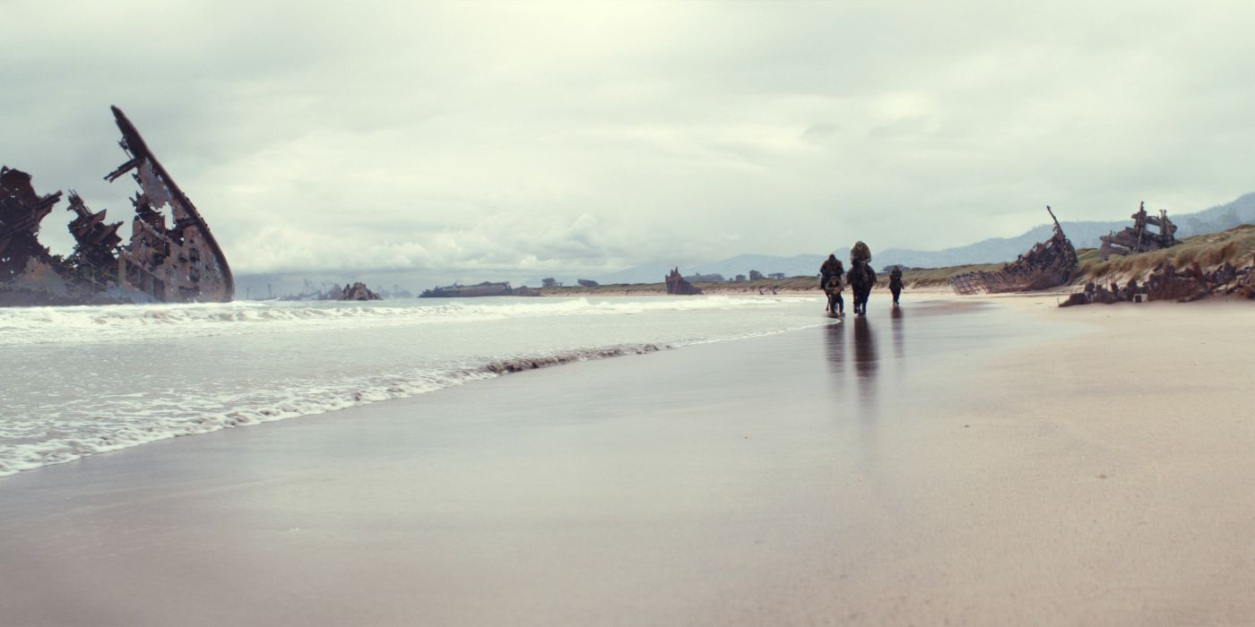 KINGDOM OF THE PLANET OF THE APES, 2024. © Walt Disney Studios Motion Pictures / Courtesy Everett Collection