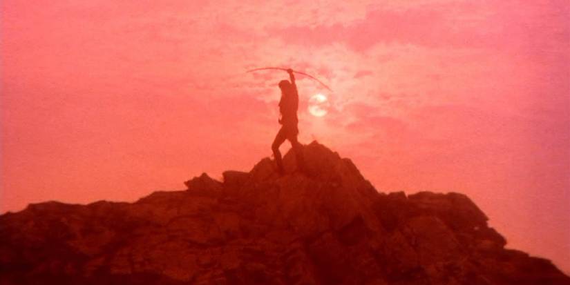 robin-sherwood-last-arrow