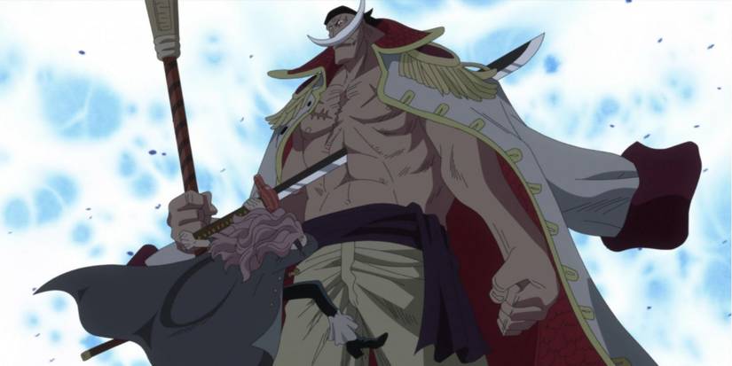 Squard stabbing Whitebeard through the chest in One Piece