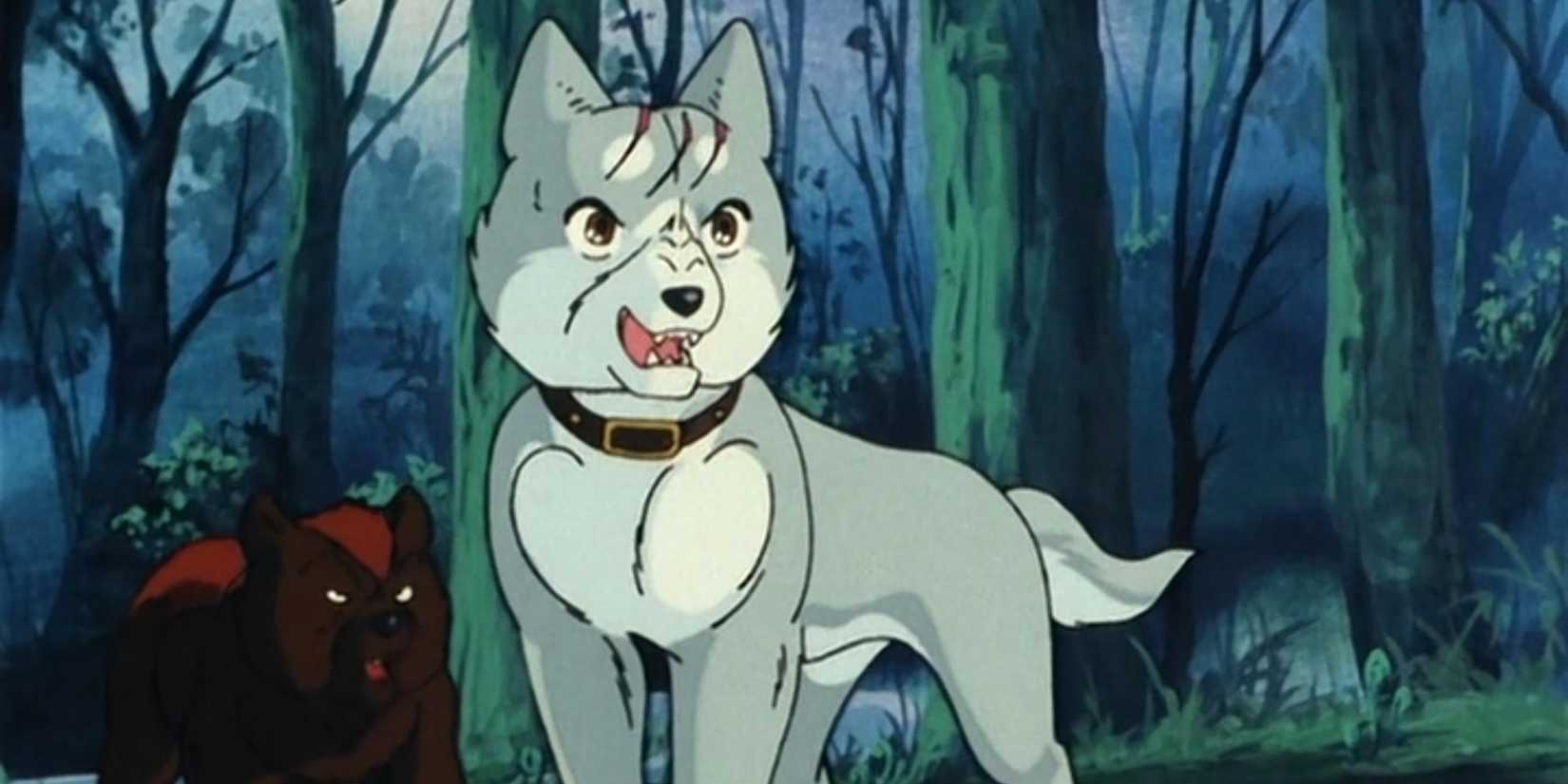 Two dogs in 'Silver Fang'