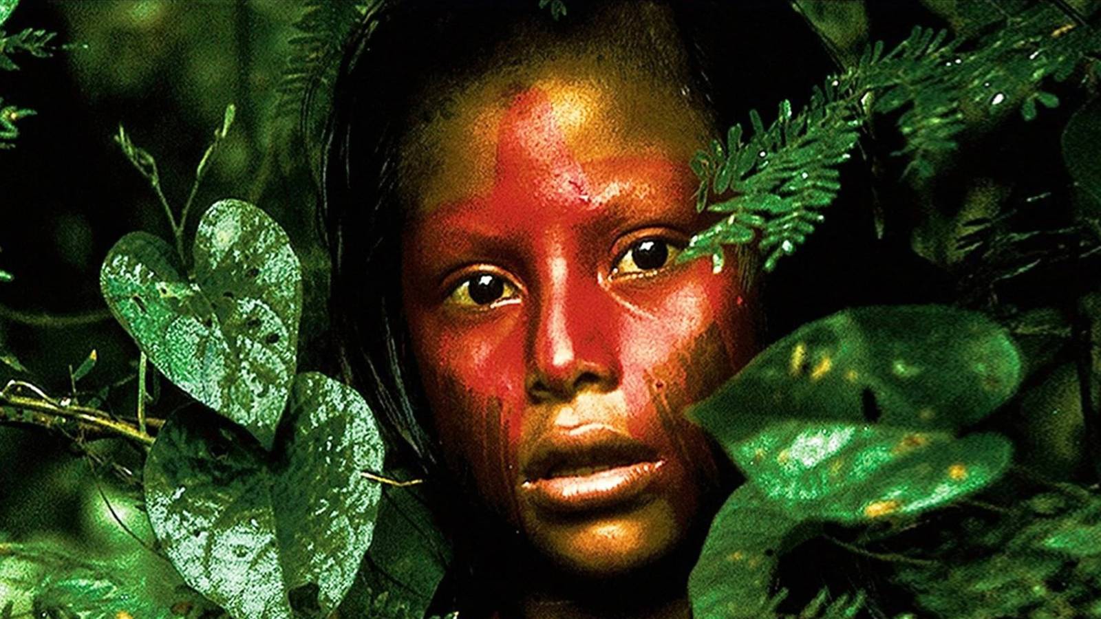 10 Best Arthouse Documentaries, Ranked