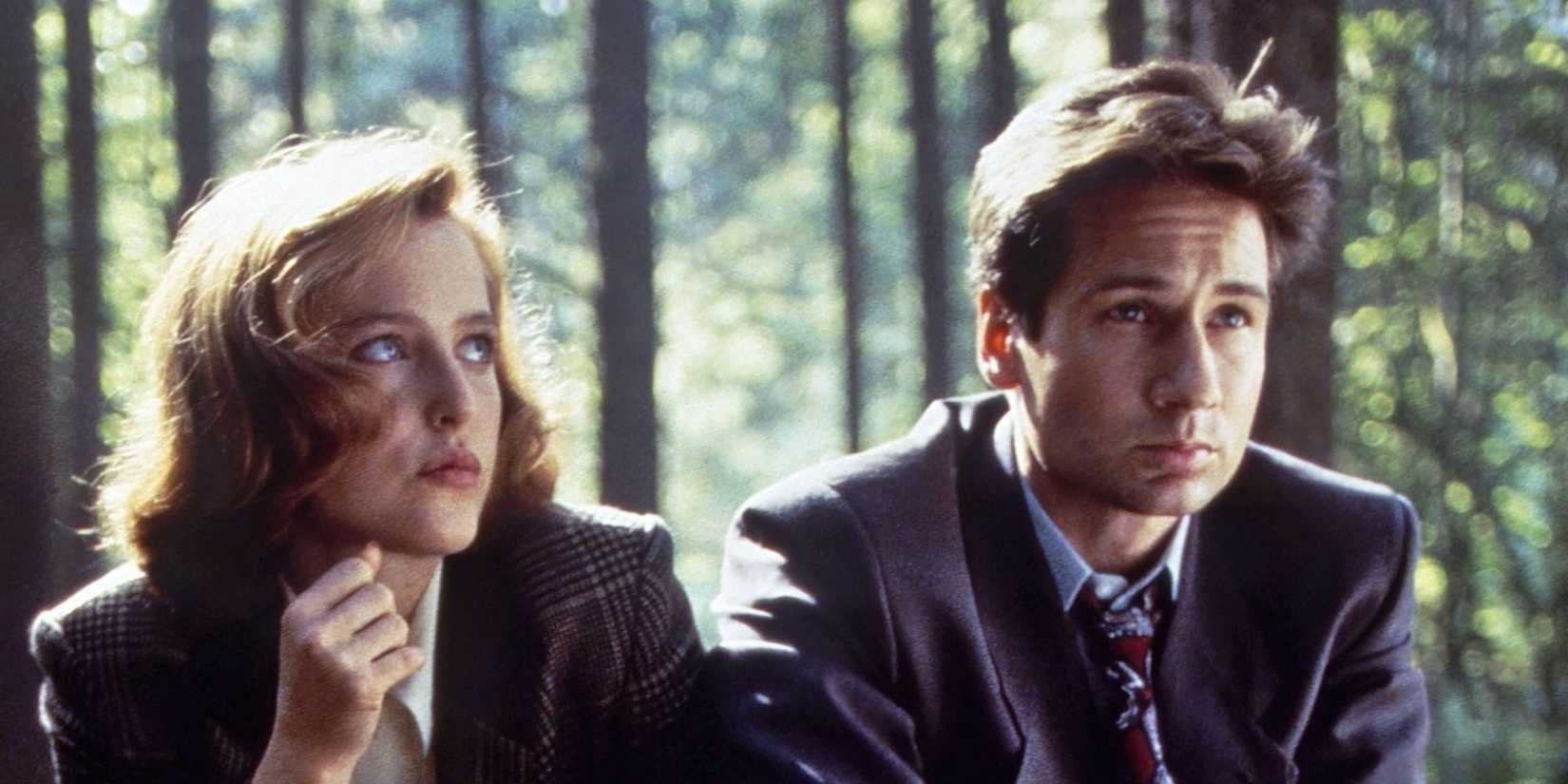 THE X-FILES, Gillian Anderson, David Duchovny, 1993-2002. photo: Chris H.B. / © Fox Network / Courtesy: Everett Collection