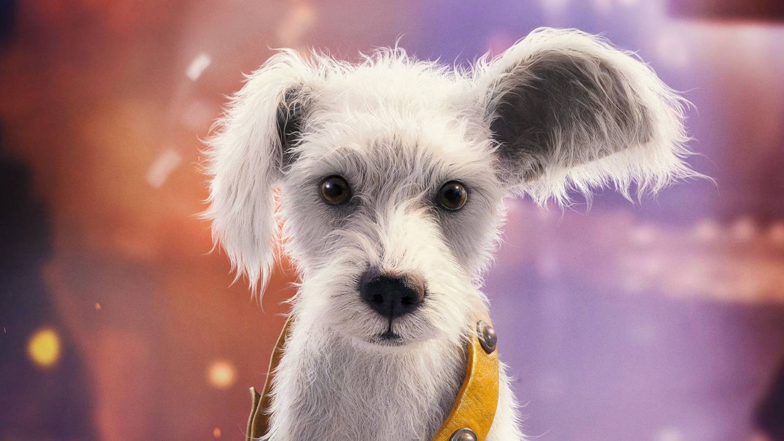 Baby Krypto Is Your Next Favorite Sci-Fi Scene-Stealer in New 'Supergirl' Teaser